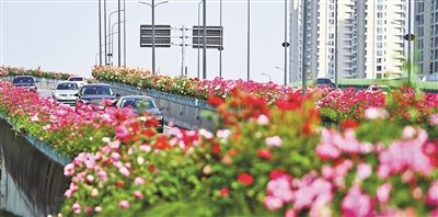 花满杭城 全民参与锦上添花