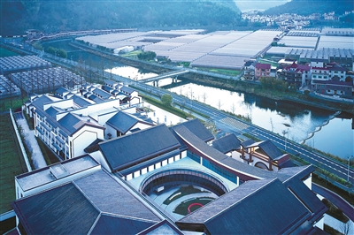 山海协作蓄势赋能 “双向奔赴”共赢发展 淳安“飞地经济”飞出新天地