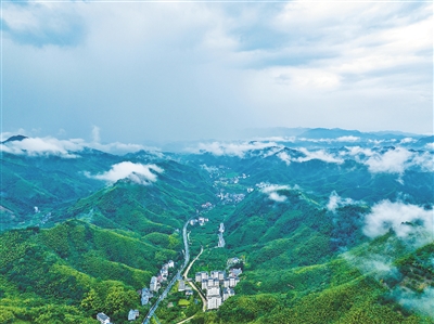 天目山，何以全球叠翠？ 生态浙江的临安“天目实践”