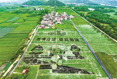 稻田作画 喜迎亚运