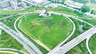 10万余盆高架月季 将如约盛放“三路一环” 临平构筑安全高效亚运交通保障体系
