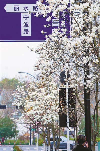 留住“烟火气” 引入“潮生活” 宁波路焕新，“美好”悄然发生