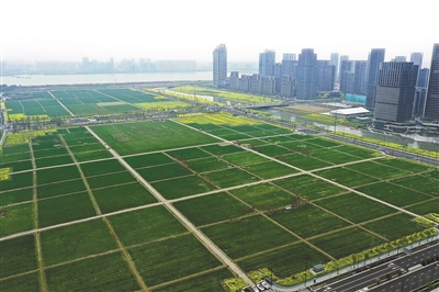 从G20杭州峰会到杭州亚运会， 杭州城市能级如何再次“拾级而上”？