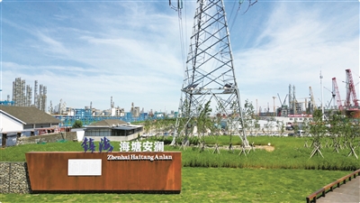 防潮标准300年一遇  镇海海塘安澜（一期）工程 通过完工验收