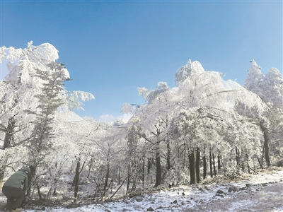 今天宁波山区最低-10℃  低温冰冻天气将持续至下周二