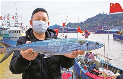 宁波“川乌”因《繁花》出圈  业内专家呼吁渔民“网下留情”