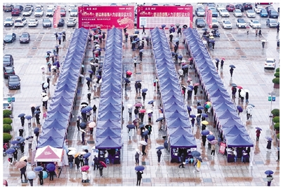 350余家单位推出8300余个岗位 德清举行春季人力资源交流大会