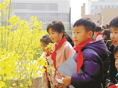 校园里的油菜花金灿灿 西湖区举办义务教育校本课程建设研讨会