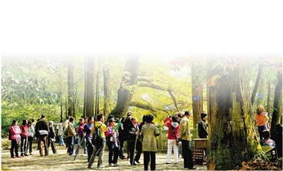 临安第一部地方性法规《浙江天目山国家级自然保护区条例》正式通过