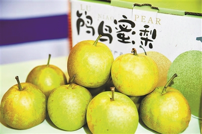 让“甜蜜事业”长出新“芽” 2024杭州鸬鸟寻蜜季正式启动