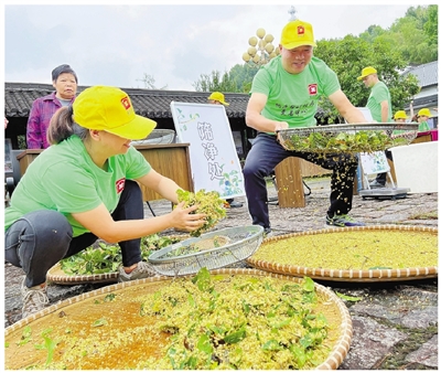 桐庐母岭村有了桂花交易中心 共富路上桂花飘香
