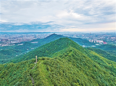 “一环三源、千点多带” 杭州首个区级生物多样性概念规划出炉